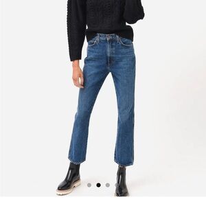 AGOLDE pinch waist jean